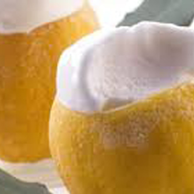 Lemon Sorbet