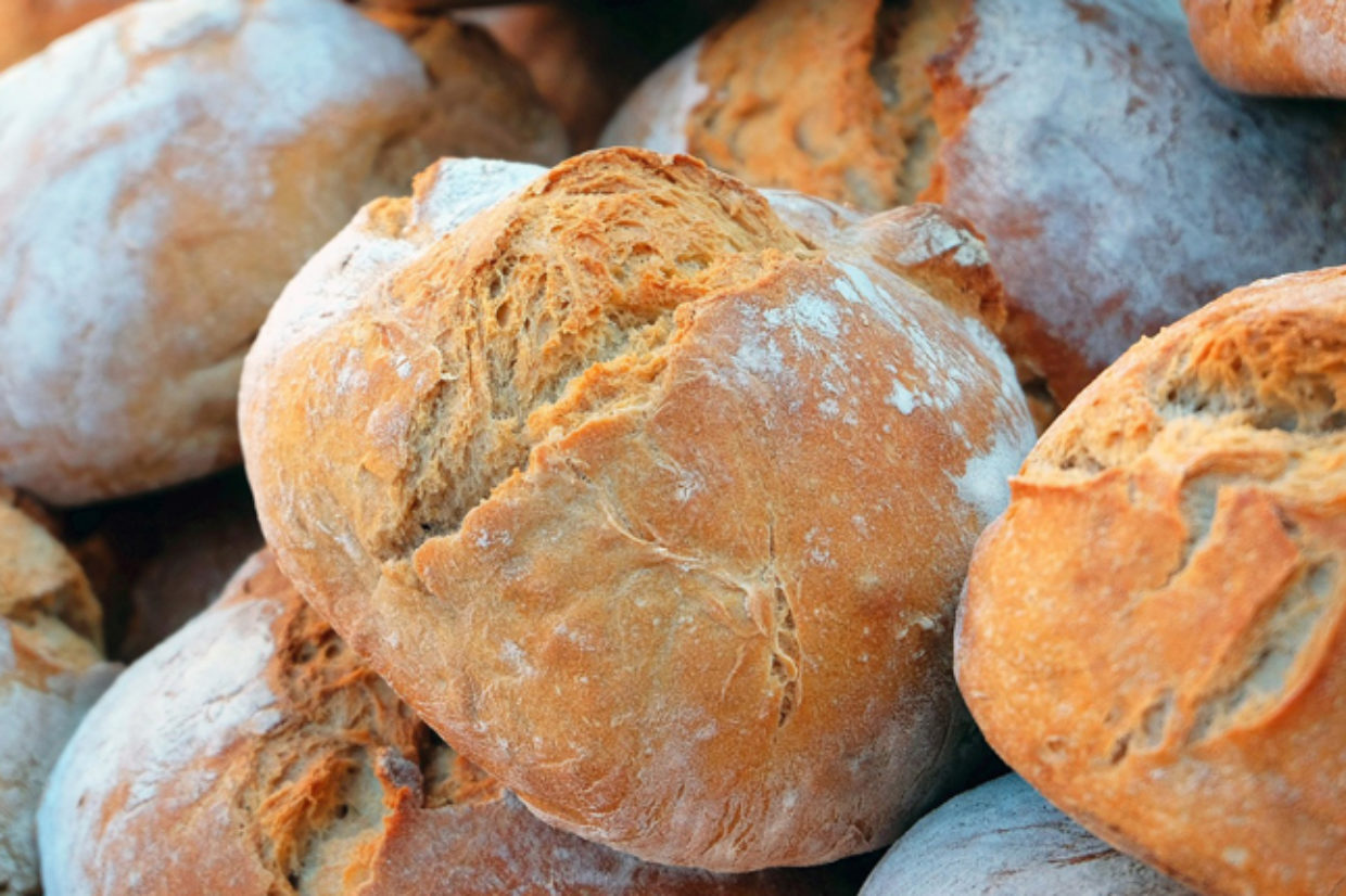 Pane