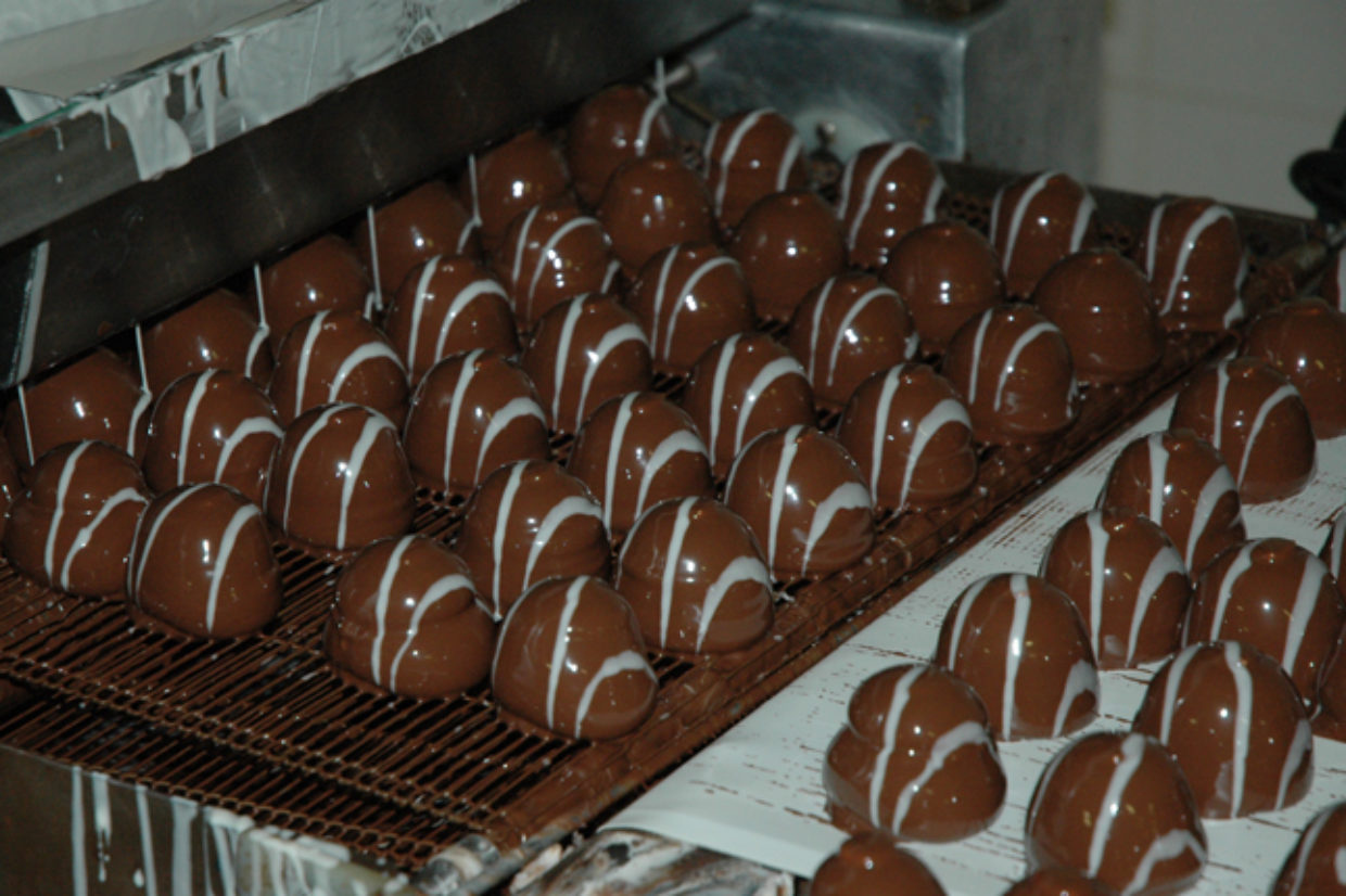 Marshmallow Chocolate Coated