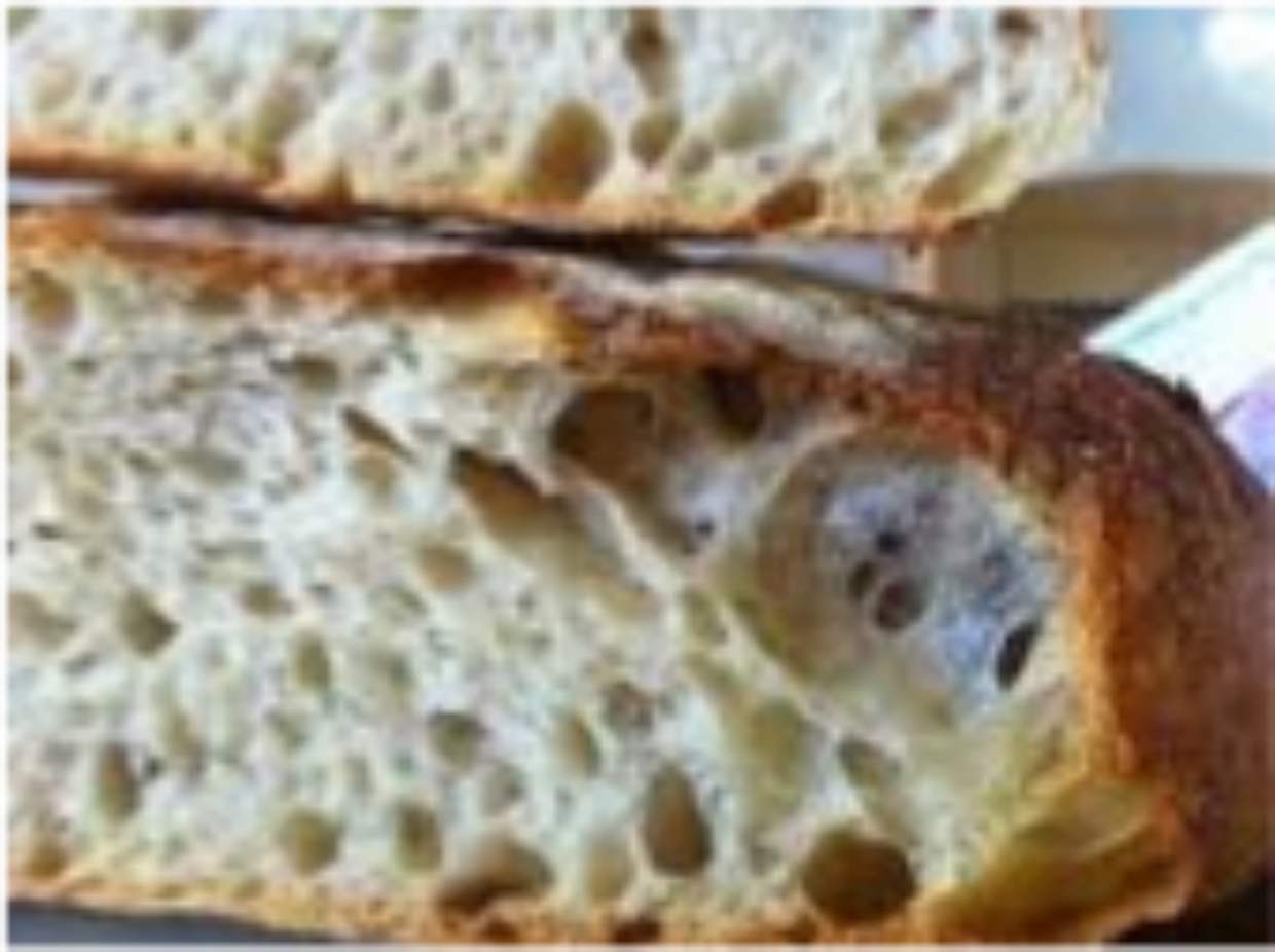 Pane