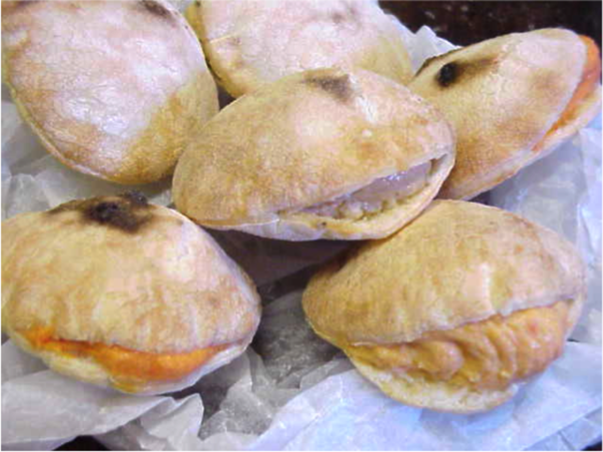 Filled Pita