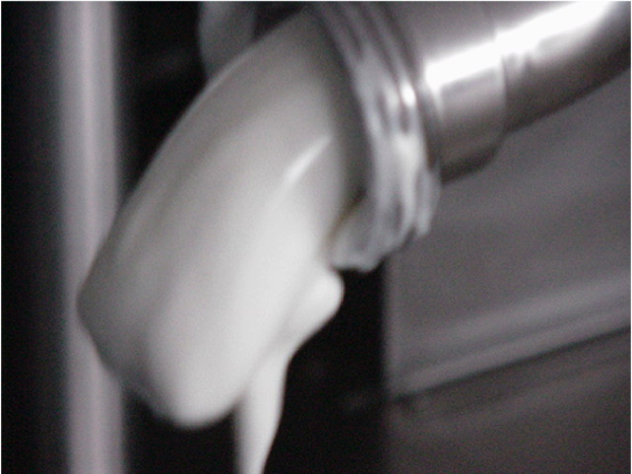 Pasticized and Nitrogenized Shortening